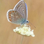 a-miracles-magic-blog