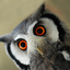 paperxparrot-blog