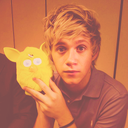 louandharreh:  hazomfg:   perks of being a niall girl no drama no drama he’s single no drama he’s hot no drama no drama  sometimes i hate being a harry girl    sOMETIMES