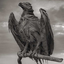 nightraven19