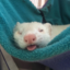 pepijnapple