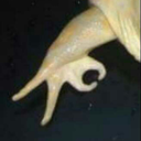X014