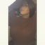 curee-blog