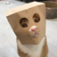 the-unknowncat