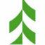 pine-photography