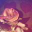 aestheticfalling-blog