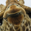 thefrickengiraffe