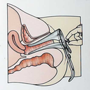 Gynoclinic:  Gorgeous Gyno Exam! (By Guy Nickologist) 