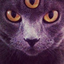 catsthirdeye
