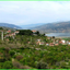 yavuzsultanselim