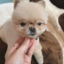 gummybearlover2222