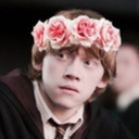 disneyprinceronweasley:  fantastic beasts