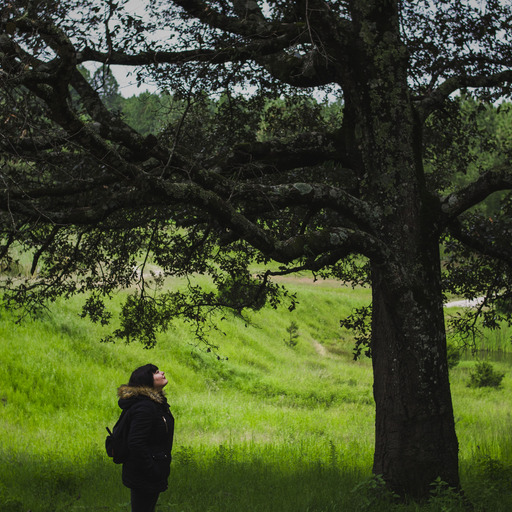 LOST