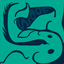 aquaticcanine