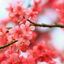 stefi789-blog