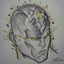 jona7u7r-blog