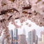 hopeandserenity