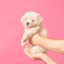 chilltone-
