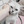 littlekitten-x-x: 