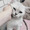 littlekitten-x-x: 