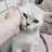 littlekitten-x-x: 