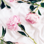 cassi0003-blog