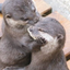 littleotterworld-blog