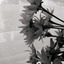 martyna16371-blog