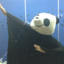 donotbearacist-beapanda
