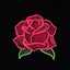 whiteblueroses