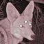 3eyedcoyote