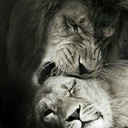 50doneright:  hisbeauty83:  😍  Omg…..   So Epic of a picture….. 