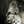 50doneright:  hisbeauty83:  😍  Omg…..   So Epic of a picture….. 