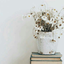 fatmaalsafi-blog