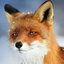 foxiusmaximus-blog