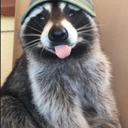 blog avatar