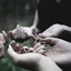 youlosttheloveilovethemost9-blog