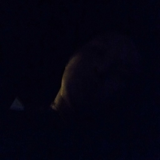 dannydopeboyy:  dirkitty:  I CNAT HANDEL THSI OFH WHAT H HW WHDUFUCK