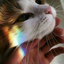 chicastar29-blog