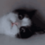 sebe579playsarchived-blog