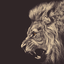 bearfenix