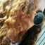 my-bad-luv-blog