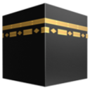 Muslim-Problem #224: