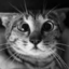 pavel161-blog