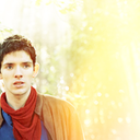 Everything Harry Potter