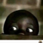 boywondereyez