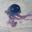 darkjellyfishpoetry