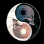 isaacsuarez3210-blog