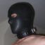 subcraven