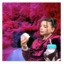 fantasticpersonaponyjudge-blog